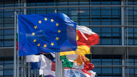 Europese vlag